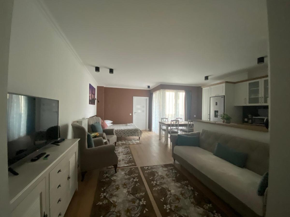 Central Park Apartment Κλουζ-Ναπόκα Εξωτερικό φωτογραφία