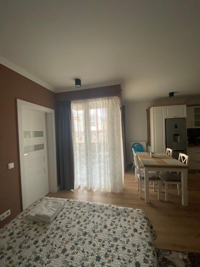 Central Park Apartment Κλουζ-Ναπόκα Εξωτερικό φωτογραφία